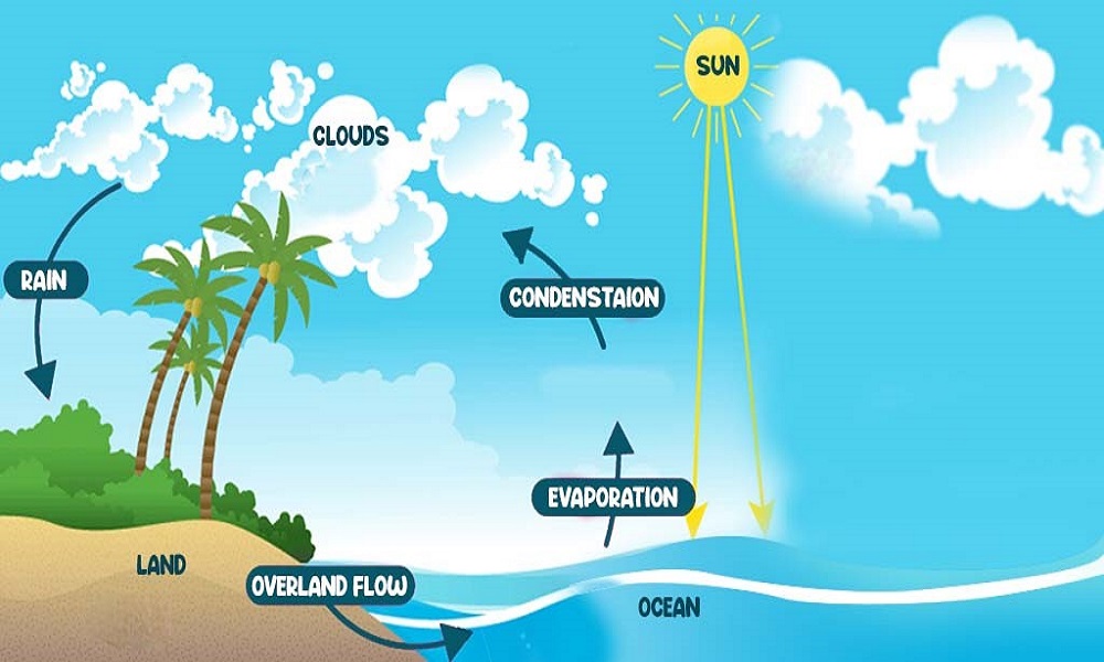 Scientific Interpretation of “Ar-Riaaha Lawaaqiha"